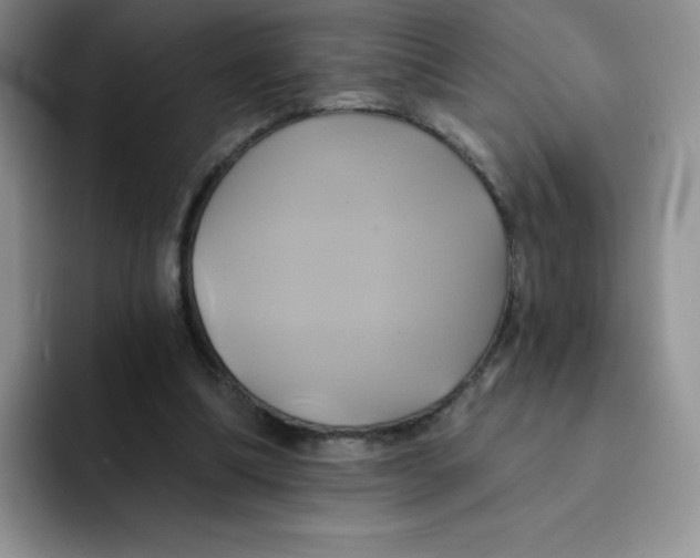 X0000091590298200709171139