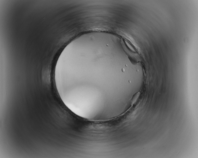 X0000091590299200709171139