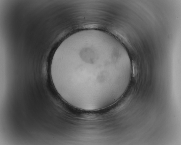 X0000091590300200709171139