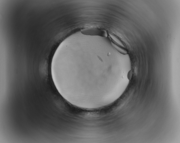 X0000091590303200709171139