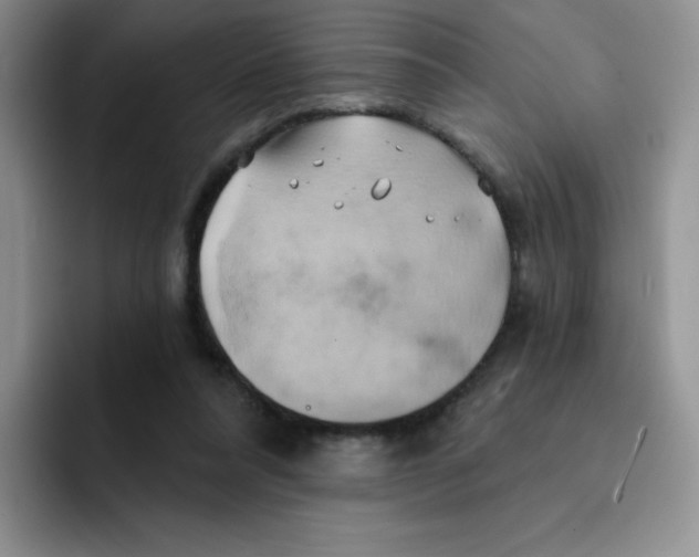 X0000091590304200709171139