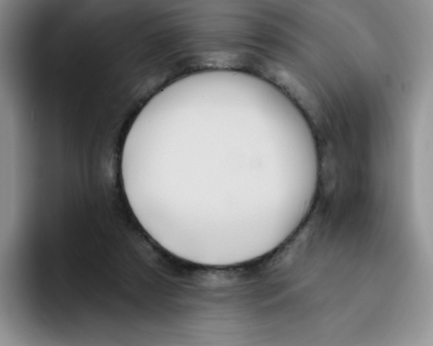 X0000091590305200709171139