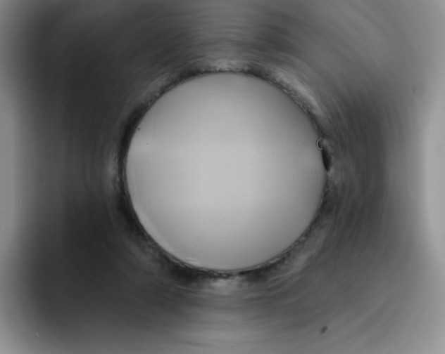 X0000091590306200709171139