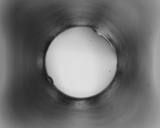 X0000091590309200709171139