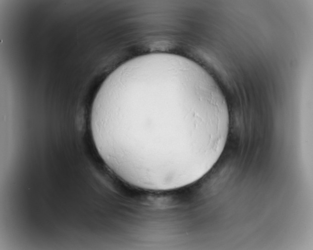 X0000091590311200709171139