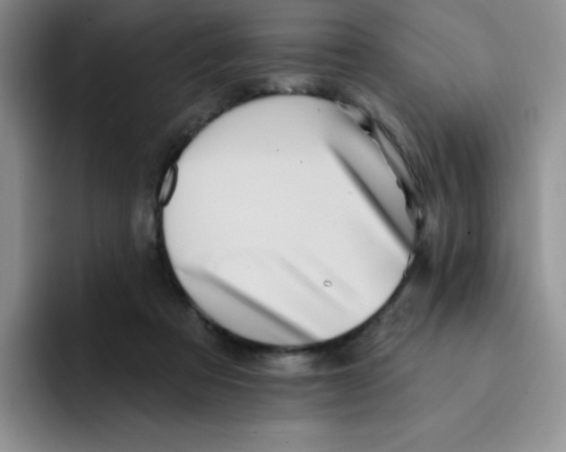 X0000091590313200709171139