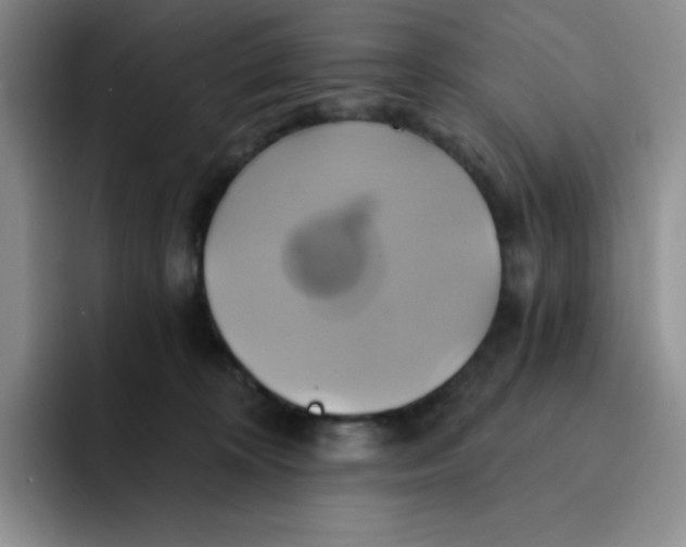 X0000091590324200709171139