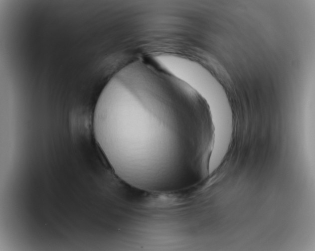 X0000091590329200709171139