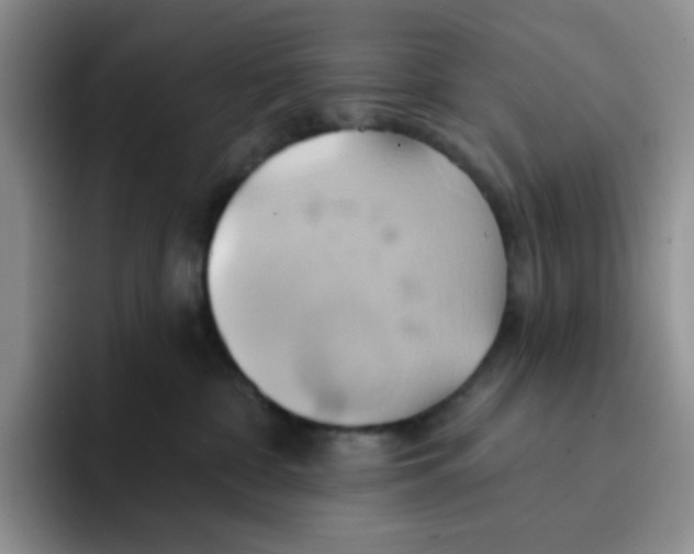 X0000091590332200709171139