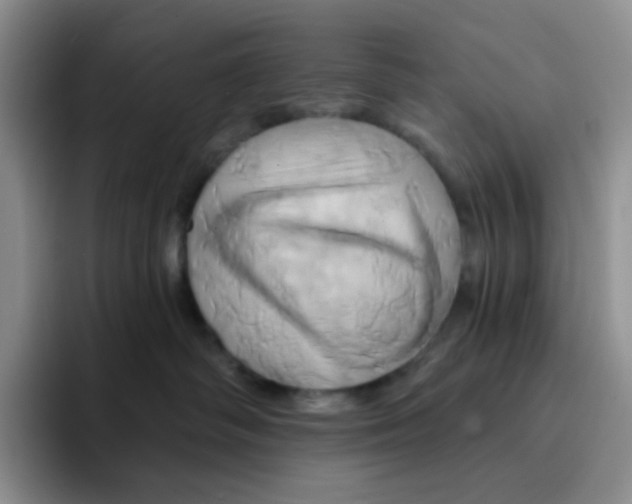 X0000091590334200709171139