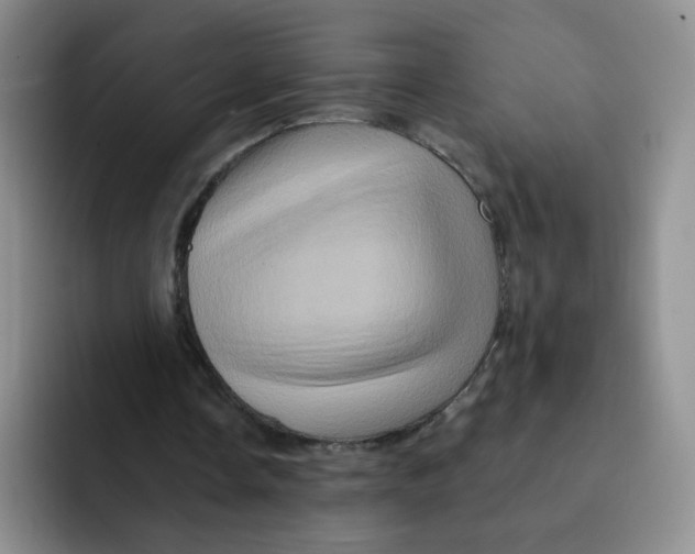 X0000091590338200709171138