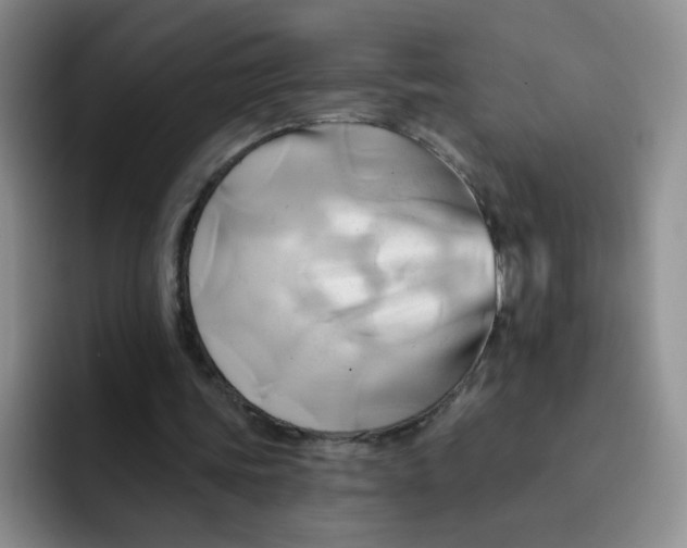 X0000091590339200709171138