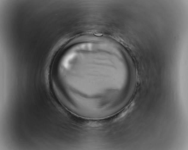 X0000091590341200709171138