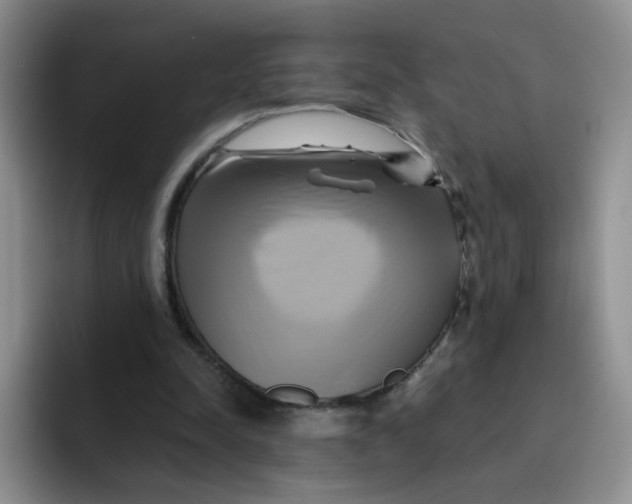 X0000091590342200709171138