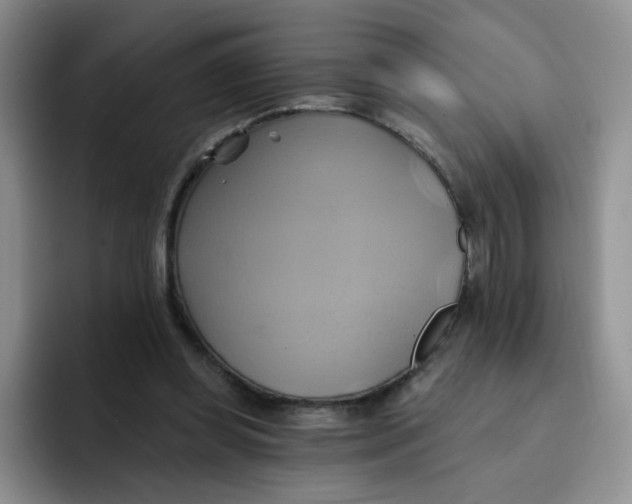 X0000091590349200709171138