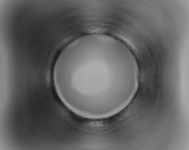 X0000091590353200709171138