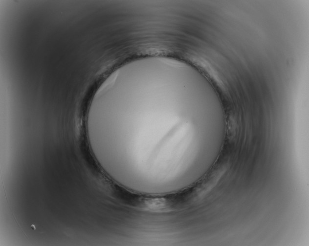 X0000091590355200709171138