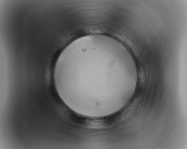 X0000091590359200709171138