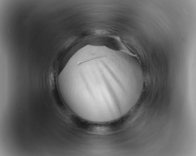 X0000091590360200709171138