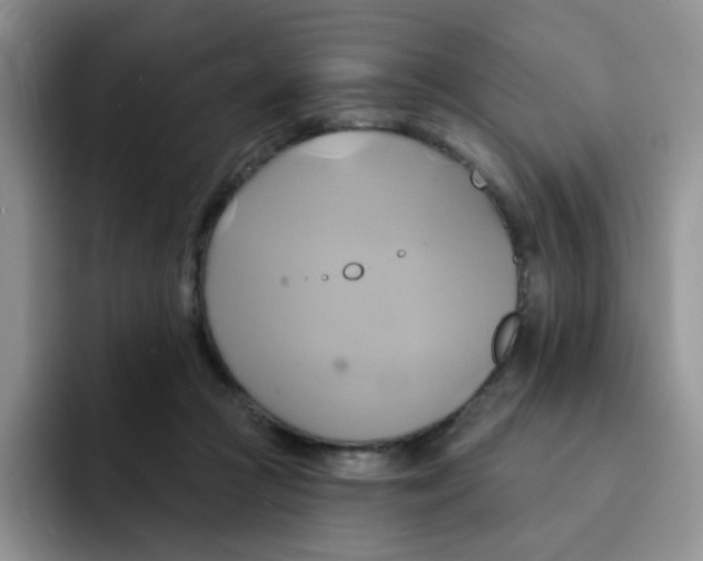 X0000091590361200709171138