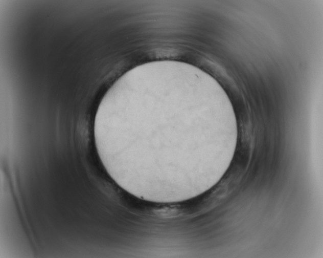 X0000091590362200709171138