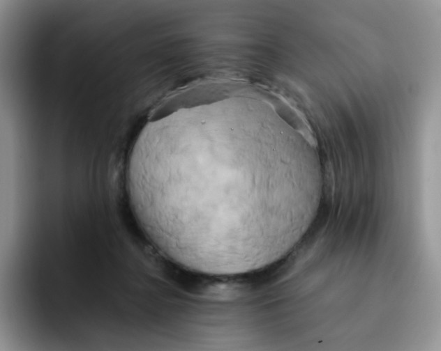 X0000091590364200709171138