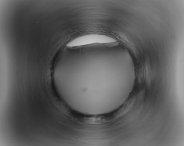 X0000091590366200709171138