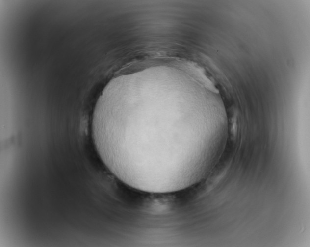 X0000091590368200709171138