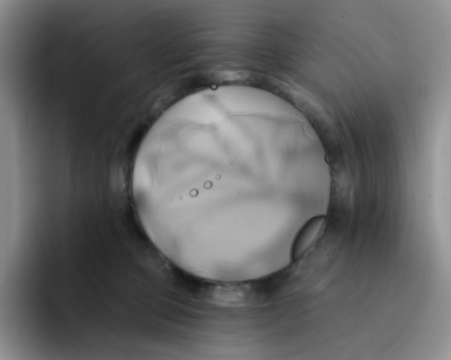 X0000091590373200709171139