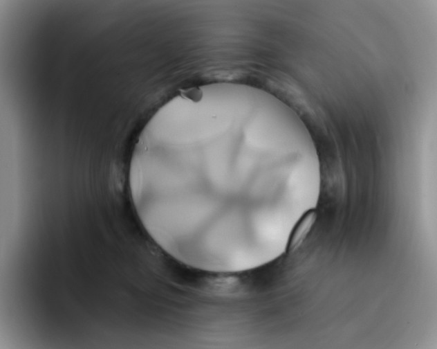 X0000091590374200709171139