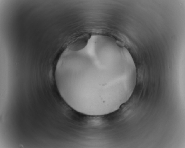 X0000091590377200709171139