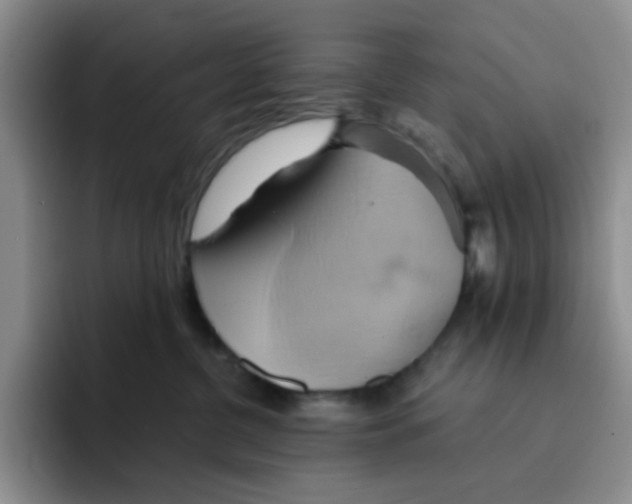 X0000091590380200709171139