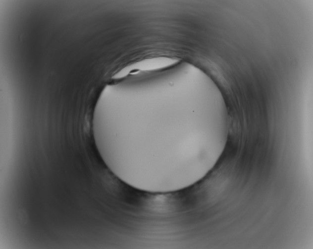 X0000091590382200709171139