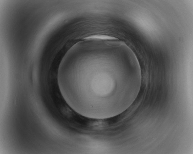 X0000091590383200709171139