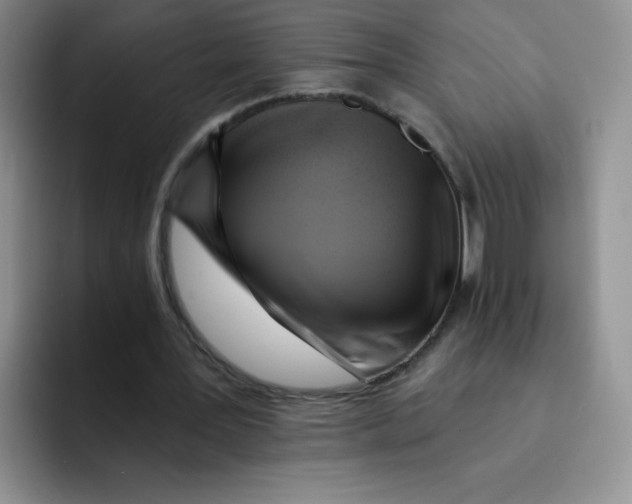 X0000091590387200709171138