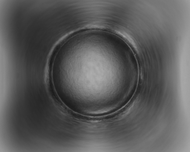 X0000091590388200709171138