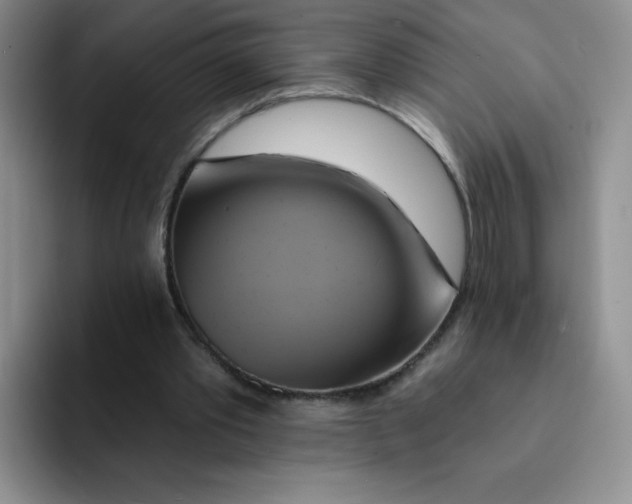 X0000091590389200709171138