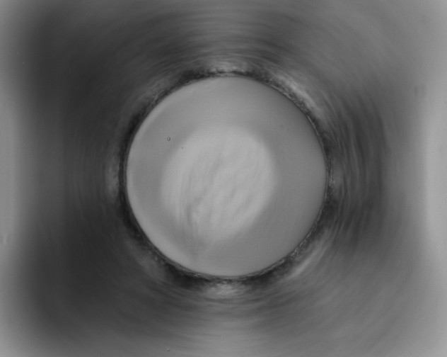 X0000091590402200709171138