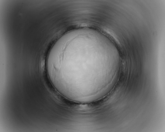 X0000091590406200709171138