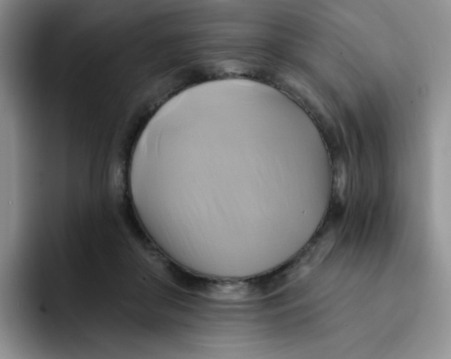 X0000091590410200709171138