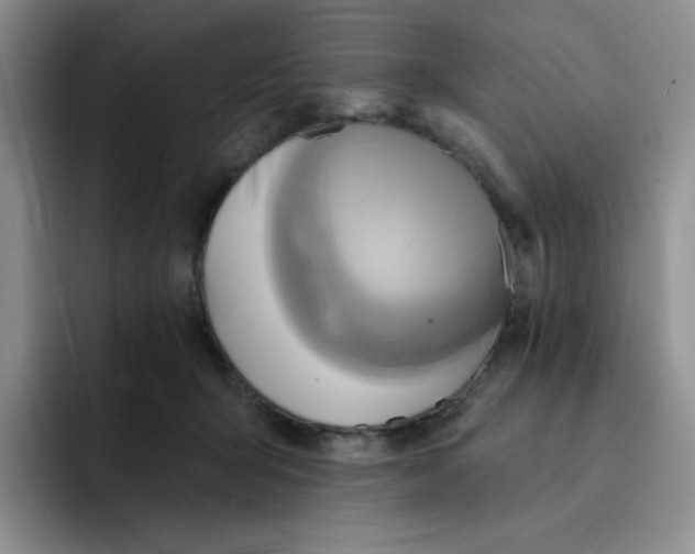 X0000091590415200709171138