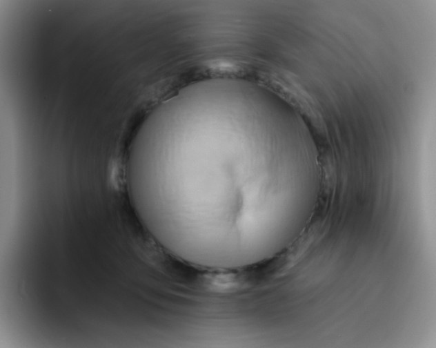 X0000091590419200709171138