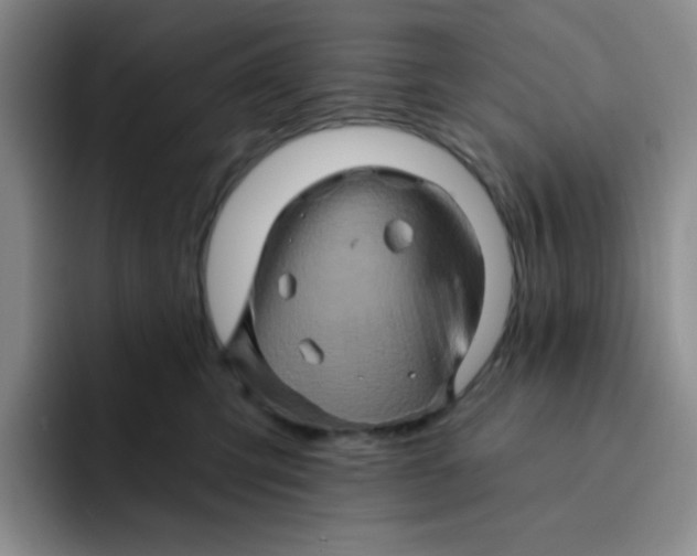 X0000091590423200709171138