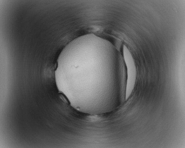 X0000091590425200709171138