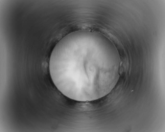 X0000091590427200709171138