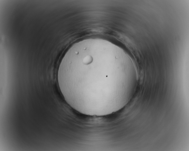 X0000091590428200709171138