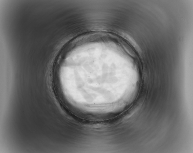 X0000091590433200709171137