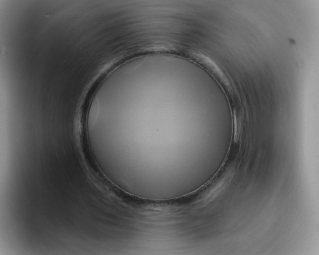 X0000091590435200709171137