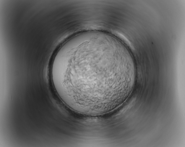 X0000091590439200709171137