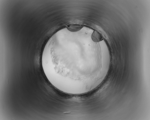 X0000091590441200709171137